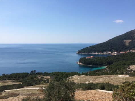 Lots of climbing to get this view