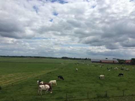 D39B65E0-5A57-457C-AC45-4A4E176A49D8